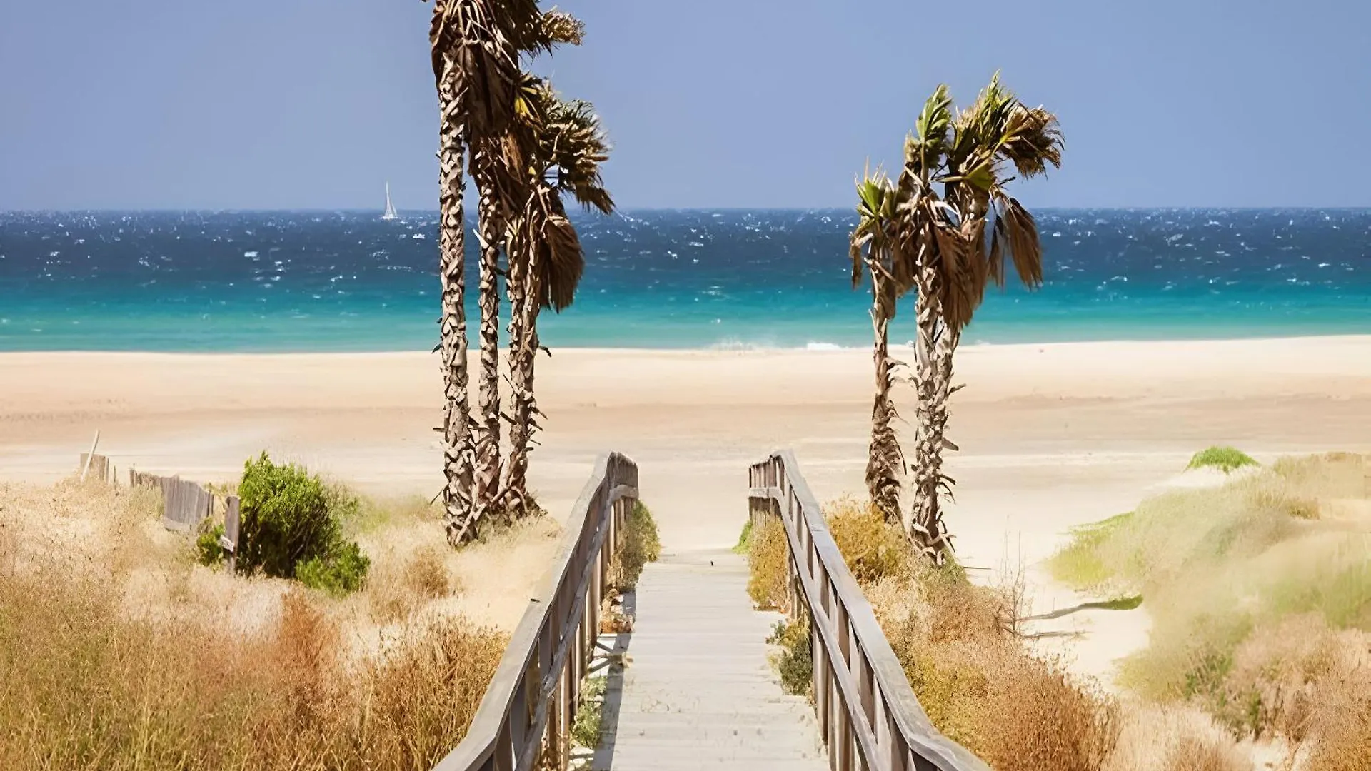 Apartamentos Cerca Del Mar Con Azotea Comunitaria Conil De La Frontera 0*,